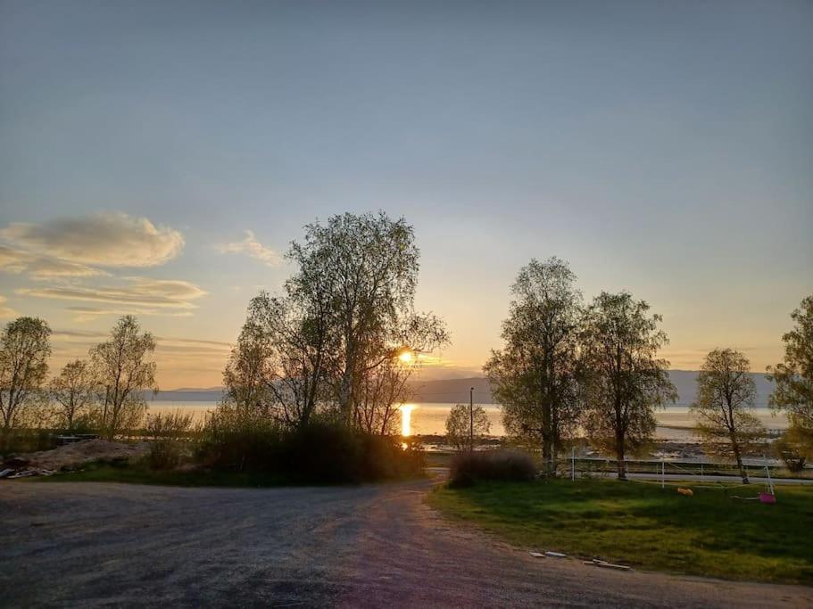Farmroom With Sauna And Aurora Narvik Extérieur photo