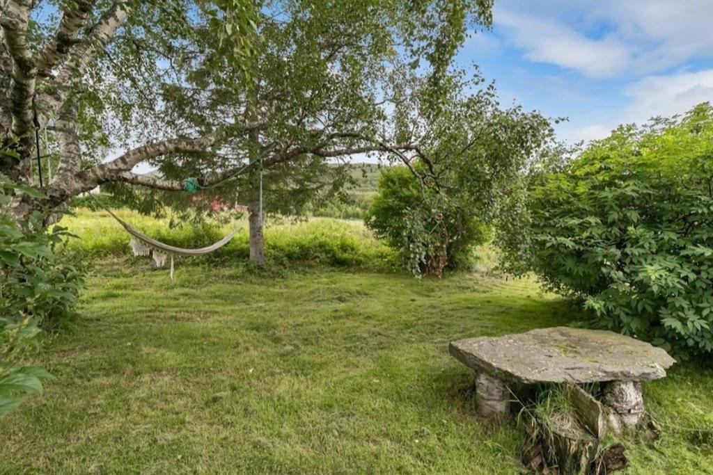 Farmroom With Sauna And Aurora Narvik Extérieur photo