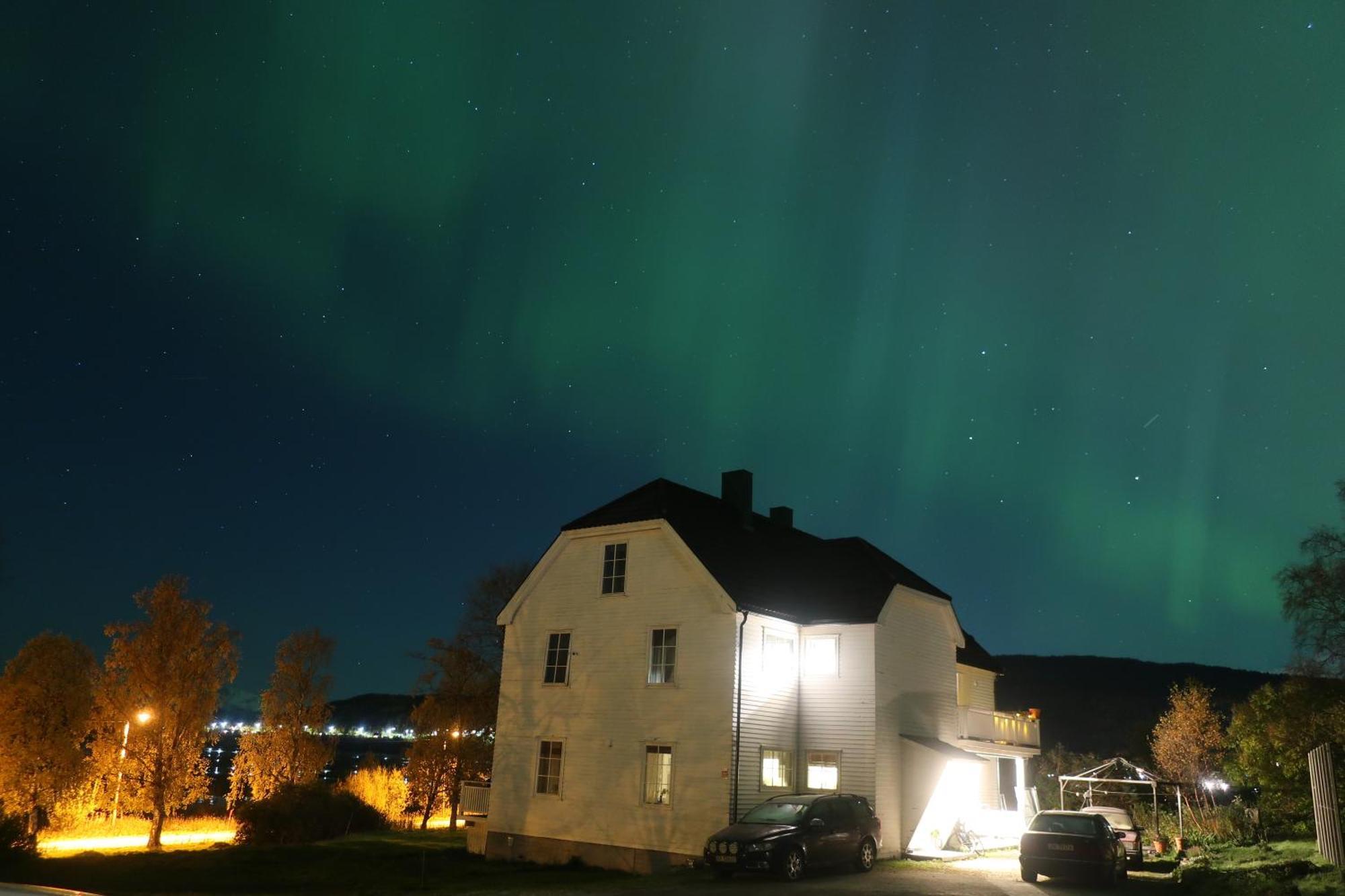 Farmroom With Sauna And Aurora Narvik Extérieur photo
